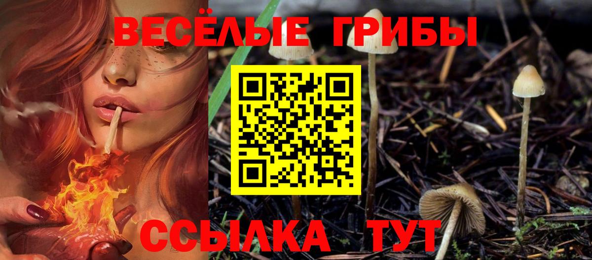 Псилоцибиновые грибы ЛСД  Вход с VPN  Черняховск 
